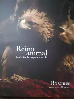 REINO ANIMAL( Bosques, Vida entre los árboles)
