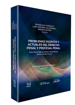 Problemas vignetes y actuales del Derecho Penal y Procesal Penal - Gonzalez/Leguizamon/Sasson - Editorial La Ley