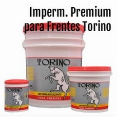 Impermeabilizante P/Frentes Torino Antihongo - 10 Lt.