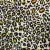 CREPE ANIMAL PRINT x Metro