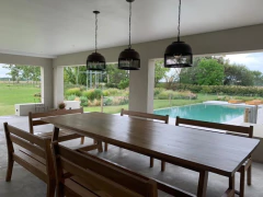 Golondrina en internet