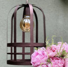 Imagen de Lámpara Lunga