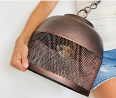 Golondrina en internet