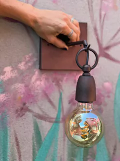 Imagen de Aplique Net