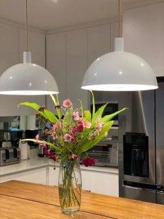 Galponera Amazonas - Hado De Luz