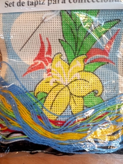 Tapices 20 x 20 cm c/u - Henriette bordados