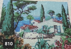 TAPIZ 40x50 - comprar online