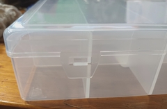 CAJA ORDENADORA G14x18 cm -12 casilleros en internet