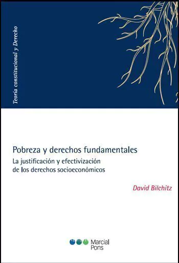 Pobreza y derechos fundamentales - Bilchitz, David