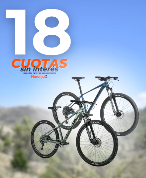 Carrusel X-TRAIL