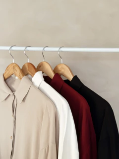 CAMISA ADELE - SIN CAMBIO en internet