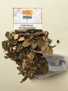 FOLHA DE ABACATEIRO - 100g