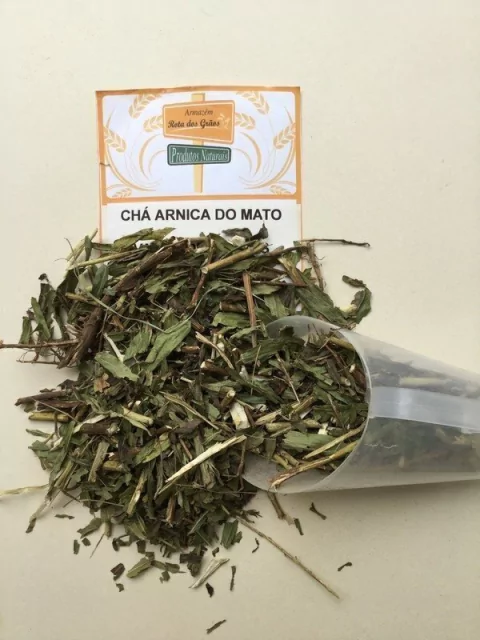 ARNICA DO MATO - 100g