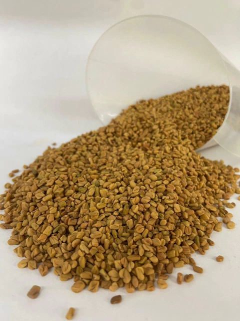 FENO GREGO EM GRÃOS - 100g - comprar online