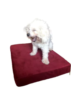 Colchoneta mascota pana - comprar online