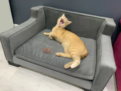 Sillon Mascota CUBO en internet