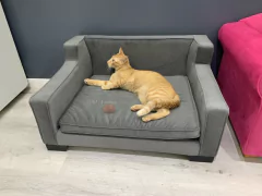 Sillon Mascota CUBO - G y G Fiacas