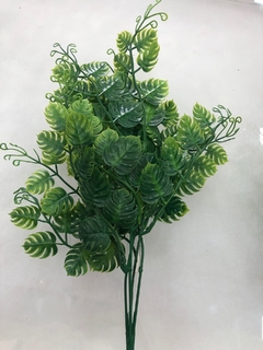 Planta: Buque mini costela de adão - comprar online