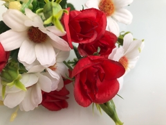 Planta: Buque de rosas misto branco e vermelho - comprar online