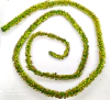 Planta: Galho complemento portal
