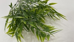 Planta: Bambu G 1096 com 5 galhos na internet