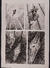 PAGINA ORIGINAL MEGA 03 - SALVADOR SANZ - comprar online