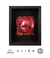 CUADRO ALIEN CHESTBURSTER - comprar online