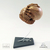 FACEHUGGER & SKULL (MINI) - comprar online