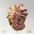 FACEHUGGER & SKULL (MINI) - comprar online