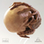 FACEHUGGER & SKULL (MINI) - tienda online