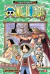 ONE PIECE 19
