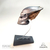 CASCO PREDATOR 1 (MINI) - comprar online