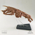 Imagen de CALACA ALIEN QUEEN (MINI)