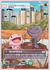 TRADING CARD WOOPER - COMMUNITY DAY POKEMON - comprar online