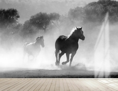 Papel de Parede Cavalo Cavalgando