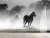 Papel de Parede Cavalo Cavalgando