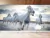 Papel de Parede Cavalos Correndo na água