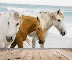 Papel de Parede 3 cavalos