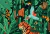 Papel de Parede Infantil Safari Selva - comprar online