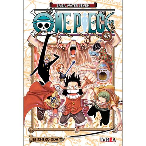 One Piece 43