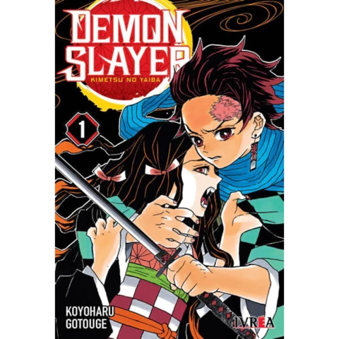 Demon Slayer - Kimetsu No Yaiba 01