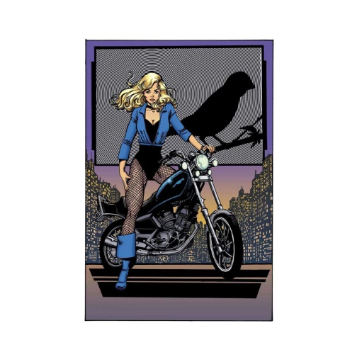 Birds of Prey (2011 5th Series) #22