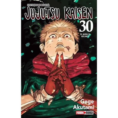 Jujutsu Kaisen 30