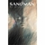 Sandman Completo Vol. 1 al 10 (ECC Sudamerica)