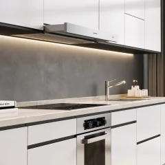 Campana de Pared Purificador Extensible de TST - Loderaggio