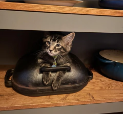 Set Breadware dutch de Hierro Fundido en internet