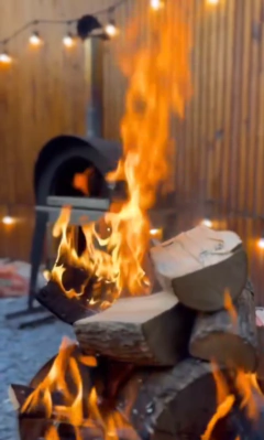 Horno Leña Bosca Nahuén en internet