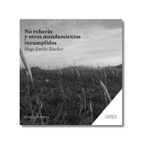 Hugo Emilio Sánchez - No robarás y otros mandamientos incumplidos - comprar online