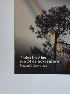 Imagen de Todos los días son 24 de noviembre - Estefanía Scandizzo