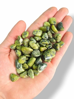 Serpentina rolada x100g - comprar online